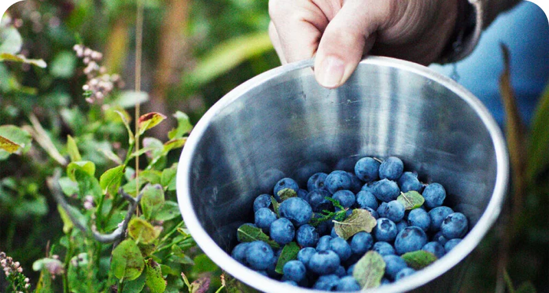 LuminEye-ingredient-10